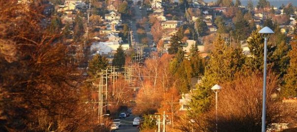 The Value of Green Urban Assets and the True Costs of Development