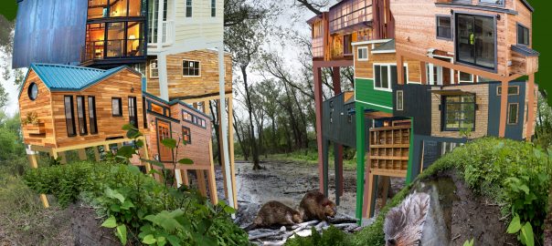 NYC Urban Field Station—Who Takes Care of New York?
