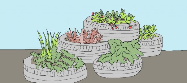 Urban Gardening As a Response to Food Supply Issues in Dense Urban Areas During the COVID-19 Crisis