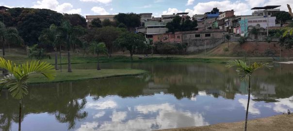 The Challenges for Innovating in Green and Blue Infrastructure: The Case of an Innovative Drainage Approach in Belo Horizonte, Brazil