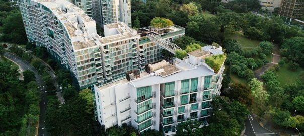 What Can Policymakers Do to Enhance Nature-based Solutions for Sustainable Cities?