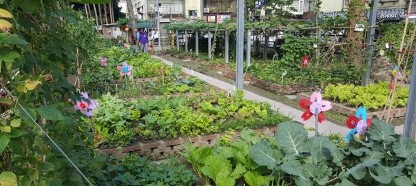 Making Spaces for Edible Gardens in Compact Cities: the Taipei Case