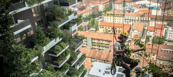 Vegetation is the Future of Architecture