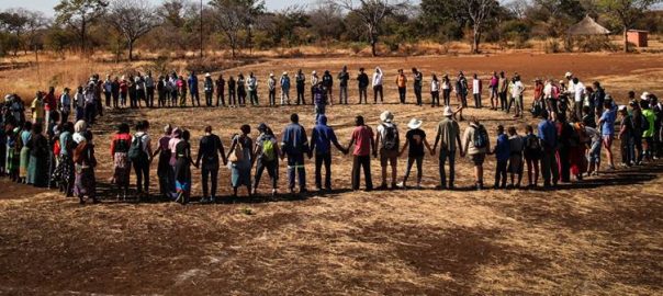 Beyond equity: What does an anti-racist urban ecology look like?