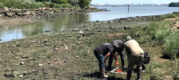 If Nature is the Answer to Climate Change, What are the Questions?