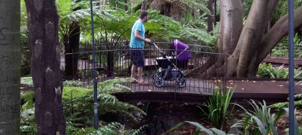 Nature Fix for Healthy Cities: What Planners and Designers Need to Know for Planning Urban Nature with Health-benefits in Mind
