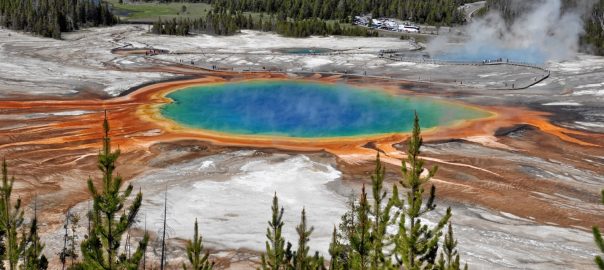 Repenser la protection de la nature dans le contexte des Objectifs du Développement Durable  Rethinking Nature Protection in the Context of the Sustainable Development Goals