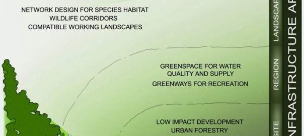 Green Infrastructure is Infrastructure: Future Opportunities for Nature in Cities