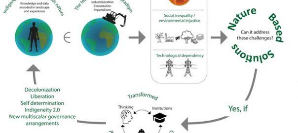 Embracing Diverse Concepts of Nature-based Solutions to Enact Transformational Change: A Perspective From the Early Career Working Group of the NATURA Network