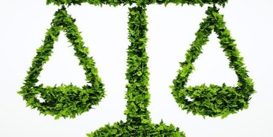 This Changes Everything: New York’s Environmental Amendment