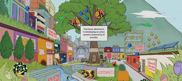 Translocal Adventures, Communities of Practice, and the TNOC Festival