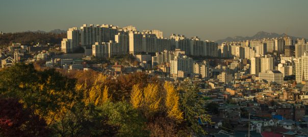 Photo Essay: Seoul and the Call of the Urban Wild