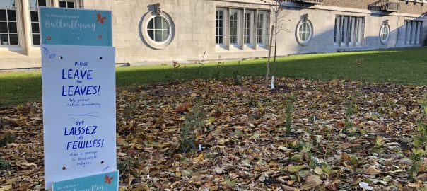Blowing in the Wind: Leaf Blower Disservices for Human and Ecosystem Health in the City