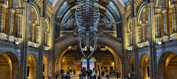Charles Darwin and the Guy from Upstairs: A visit to the Natural History Museum