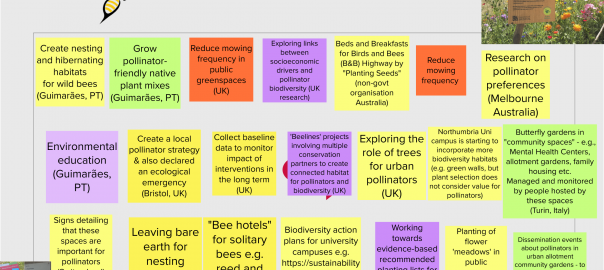 What Are the Cities Doing to Protect Pollinators and the Biodiversity?
