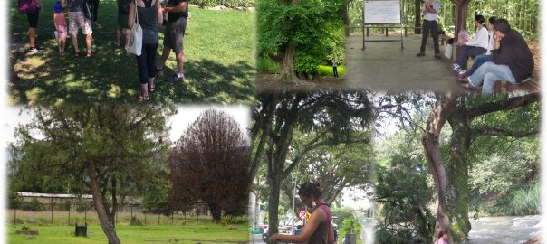 Committing to Diversity in the Research on People’s Perceptions of Urban Nature
