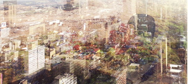 Highlights from The Nature of Cities 2022