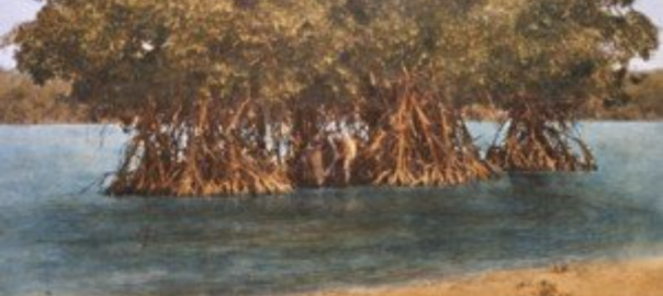 Paying Attention to Make Art: Twenty-nine Reflections on the Harrisons