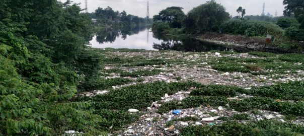 From a Buzzword to a Standard: Challenges in Mainstreaming Nature-based Solutions in Urban Planning in the Global South
