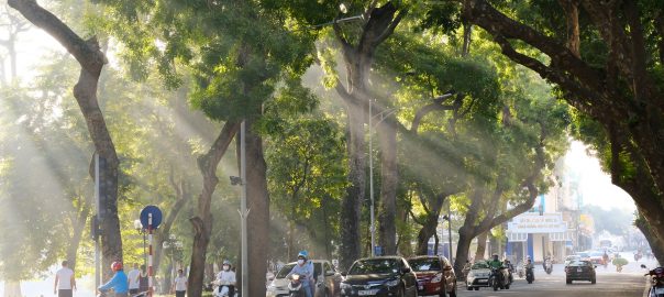 Green Urban Planning ― Along With the Idea of Objective Truth ― Is Losing the PR Fight