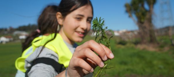 From Awareness to Action: Citizen Empowerment in Invasive Species Management