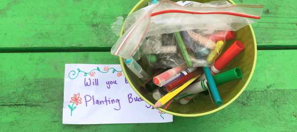 Discovering Stewardship Through Play: Using Applied Theater Techniques for Environmental Education