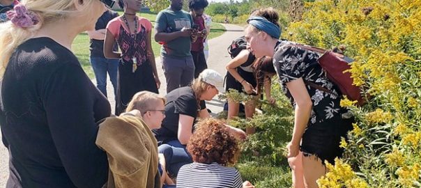 Plant-human Relations: How Can Art Foster Positive Perceptions of Weeds in Cities?
