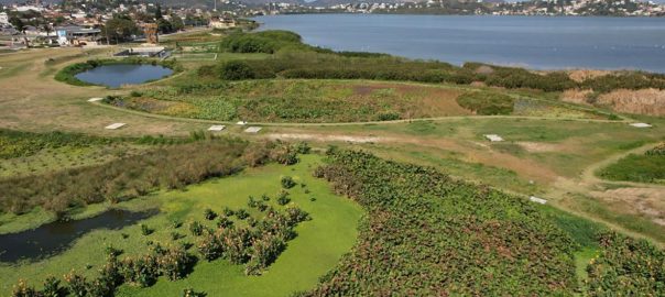 Nature-based Solutions Are Gaining Momentum in Brazilian Cities