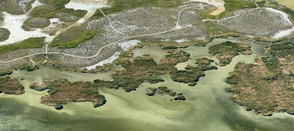 A Disappearing Lake in Three Parts