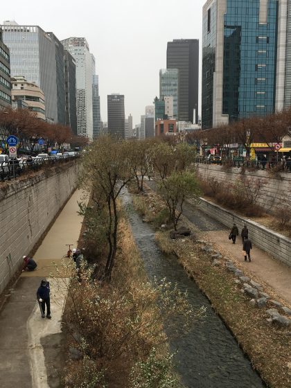 A stream surrounded by vegetation within a concrete barrier