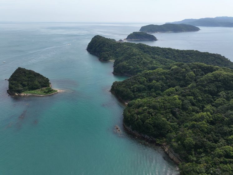 An aerial view of forested islands in the ocean