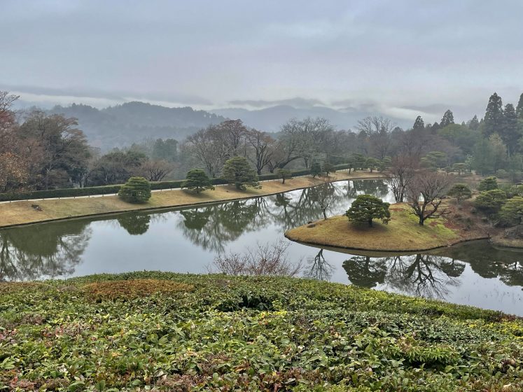 A body of water with trees and bushes