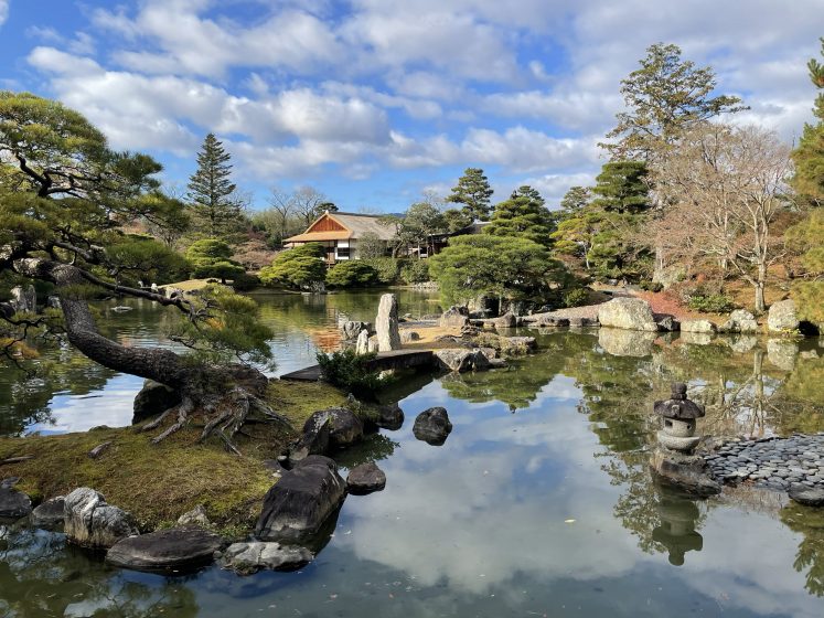 A body of water surrounded by trees and large rocks