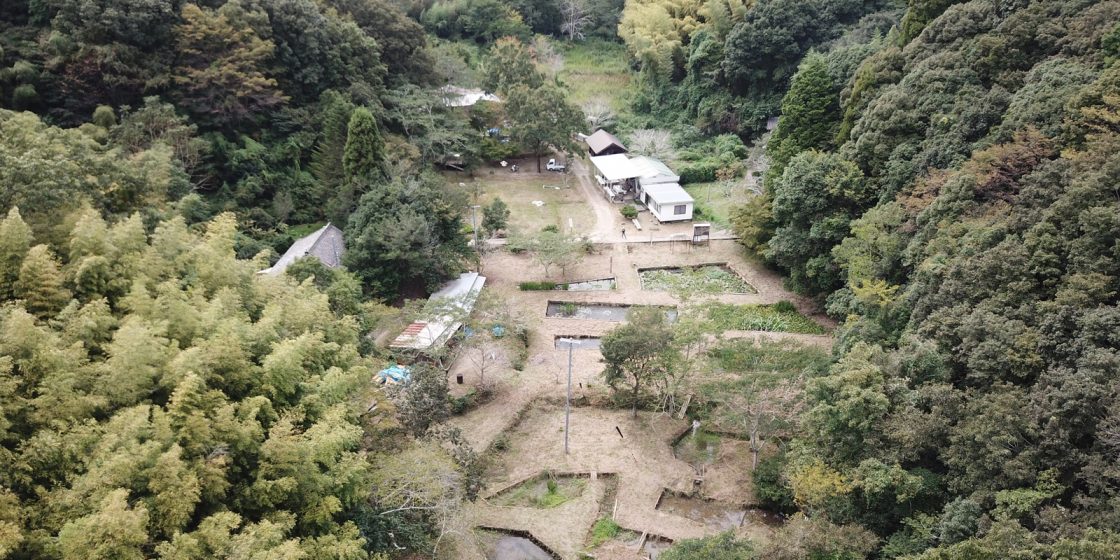 A aerial view of a garden of rice paddies