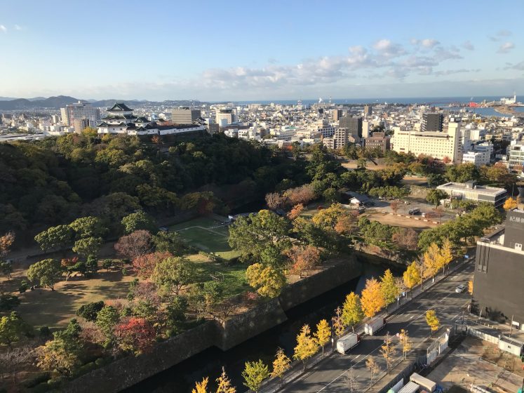 A city with trees and a road and a castle in the distance