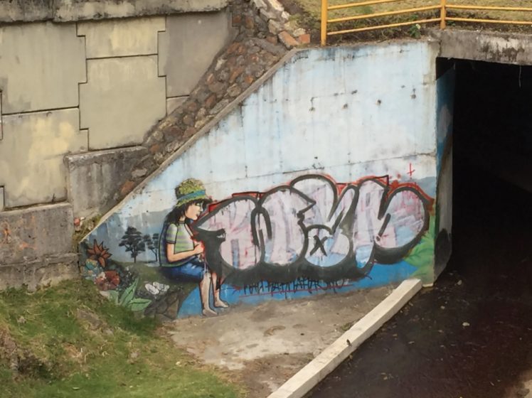 Graffiti of a woman sitting next to an actual river.