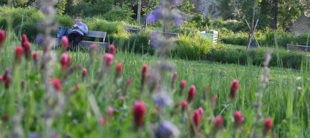 The EU Nature Restoration Law is here. Do we have what it takes to make it work?