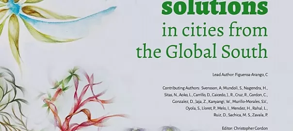 Integrating Nature-Based Solutions in Cities From the Global South