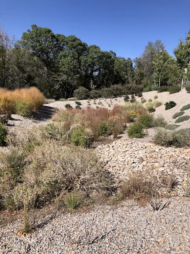 A rocky landscape with plants and trees