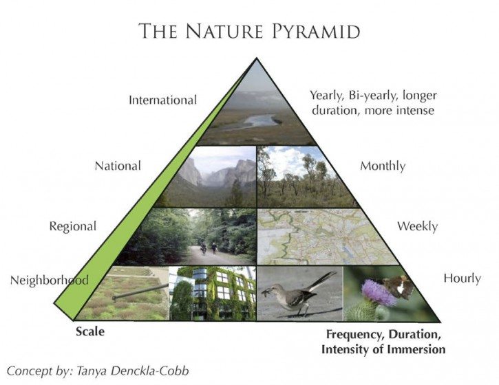 triangle in nature