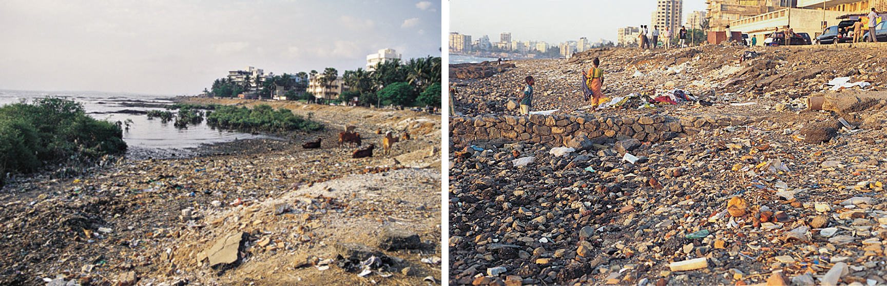 Ecology Rights and City Development Plans: The Case of Mumbai – The Nature  of Cities