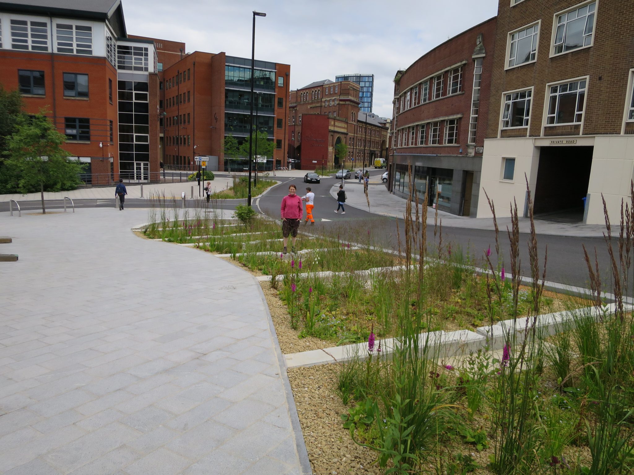 Designing Ecologically Sensitive Green Infrastructure That Serves