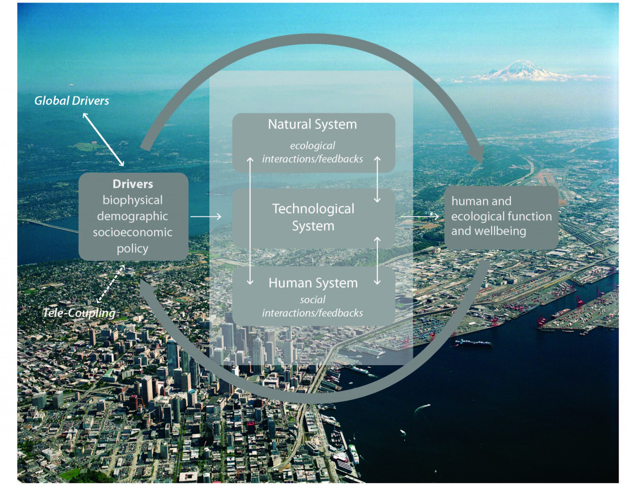 Are Cities Ecosystems—analogous To Natural Ones—of Nature ...