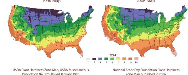 Urban Ecological Footprint and Bequeathing a Livable Future – The ...