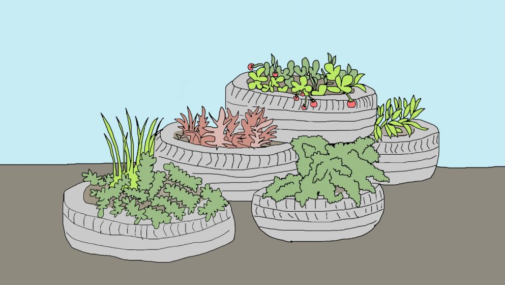 Urban Gardening As A Response To Food Supply Issues In Dense Urban Areas During The Covid 19 Crisis The Nature Of Cities