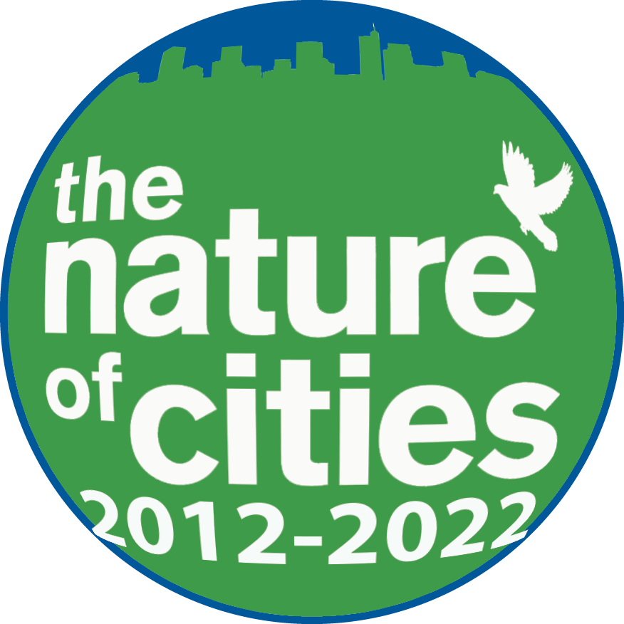 adventures in cities or in nature essay in english