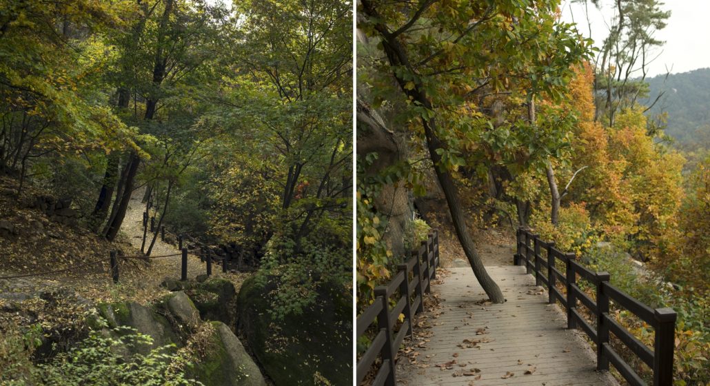 Two side-by-side pictures of tree covered paths with railing