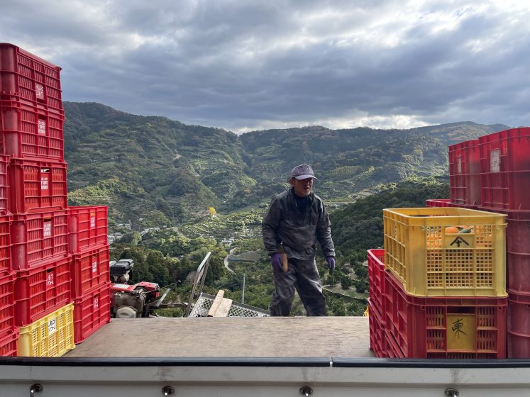 A person standing next to red and yellow crates with green mountains behind them