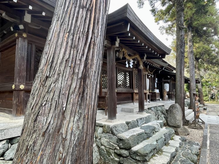 A building with a stone walkway and a tree trunk in the foreground
