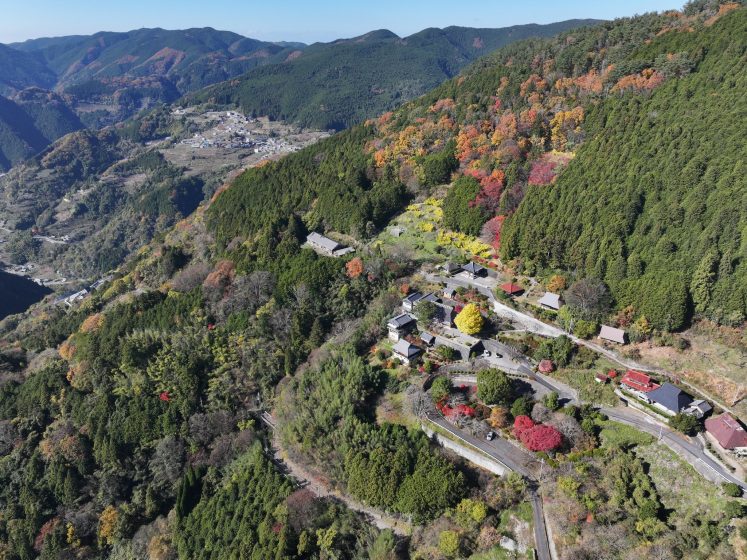 An aerial view of a road through a forest leading to a small group of colorful buildings